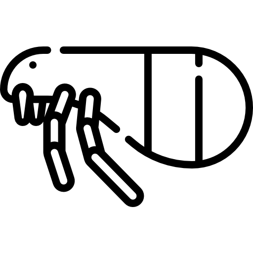 Ícone Pulga